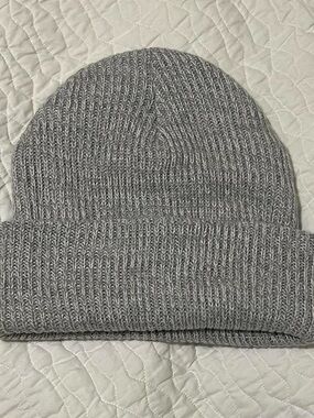 NWOT Aritzia Main Character Grey Beanie